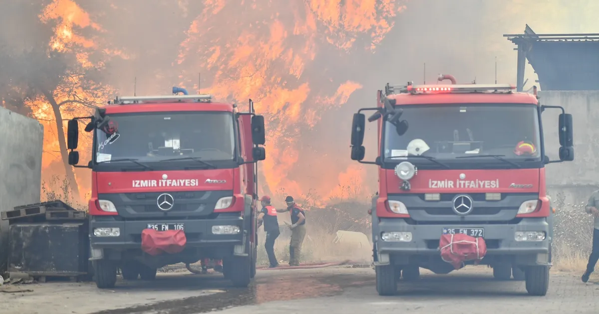 İzmir Bornova Gökdere’de yangınla mücadele sürüyor