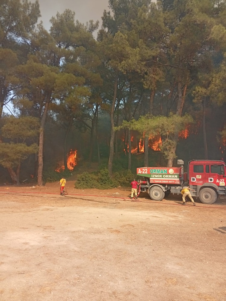 İzmir Gaziemir'deki yangın kontrol altına alınıyor
