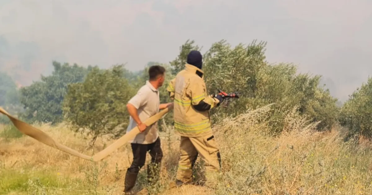 İzmir Ödemiş’te yangınla mücadele sürüyor