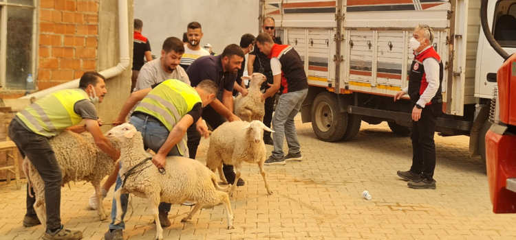 İzmir Ödemiş’te yangınla mücadele sürüyor