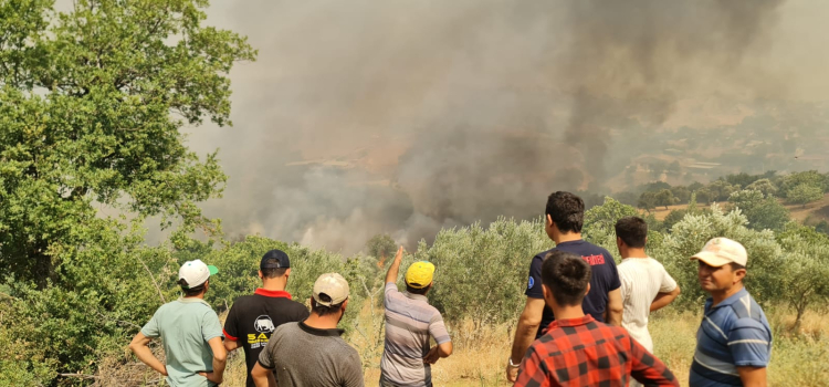 İzmir Ödemiş’te yangınla mücadele sürüyor