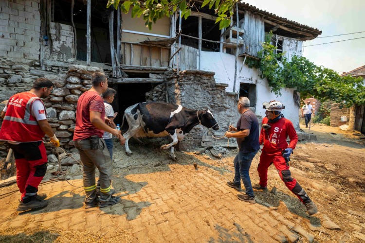 İzmir yangınlarla savaşıyor... İzmir'in ateşle imtihanı