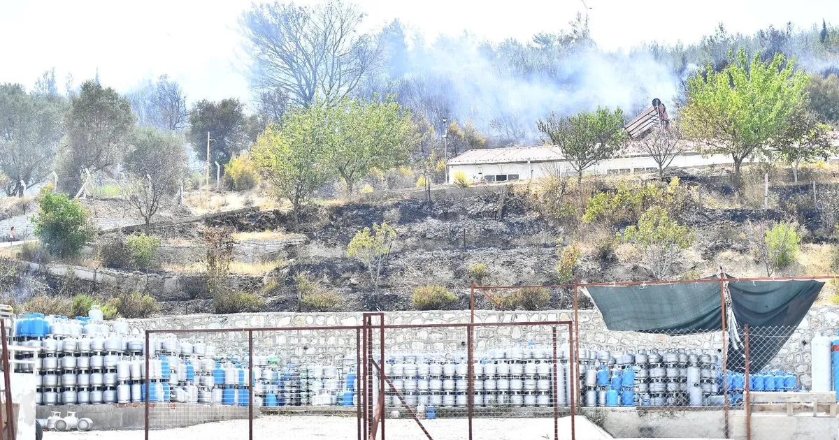 İzmir’in iki ilçesinde yangınlar kontrol altında