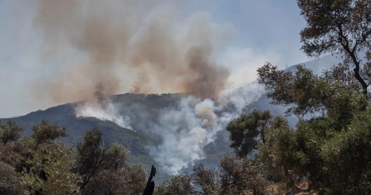 İzmir’in orman yangını risk haritası hazır