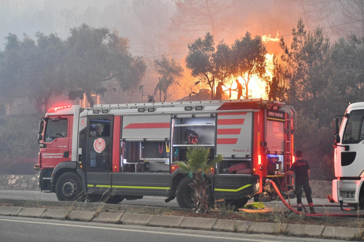 İzmir’in orman yangını risk haritası hazır