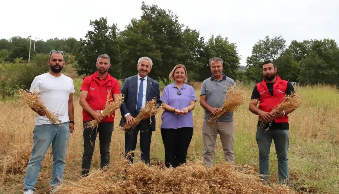 İzmit Belediyesi, deneme amaçlı