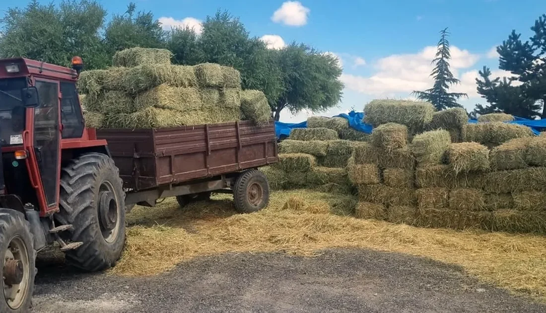 Kayseri Talas Belediyesi, tarım