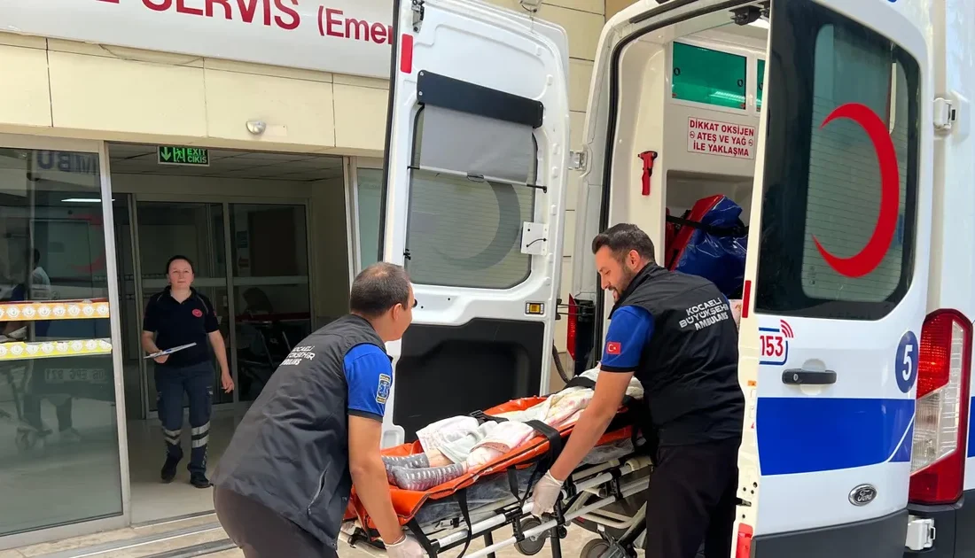 Kocaeli Büyükşehir Belediyesi’nin nakil