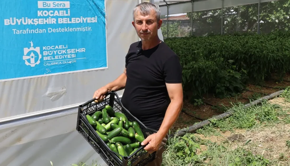 Kocaeli Büyükşehir’in Belediyesi’nin yüzde