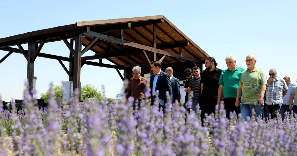 Konya Karatay Lavanta Bahçeleri'nde görsel şölen heyecanı