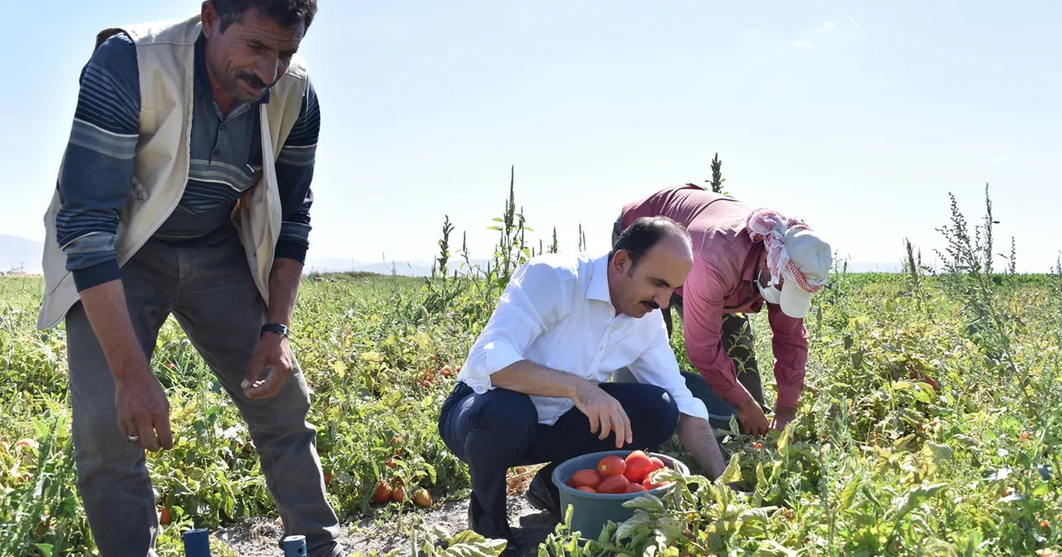 Konya’da 2026 için fidan ve fide desteği başvuruları başladı