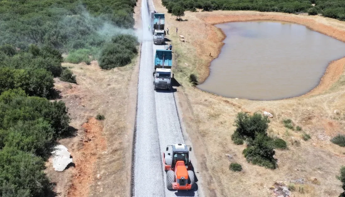 Manisa Büyükşehir Belediyesi, kentin