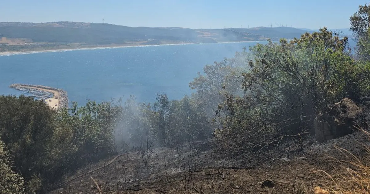 Mudanya kırsalında yangın! Buğday tarlası son anda kurtarıldı
