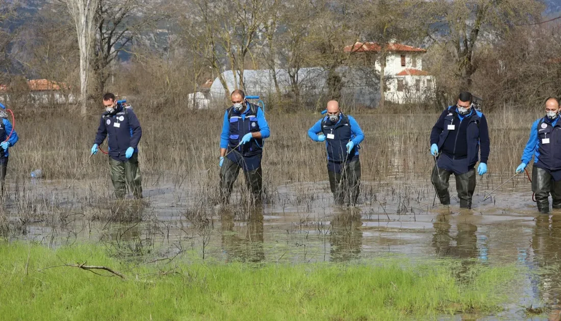 Muğla Büyükşehir Belediyesi 13