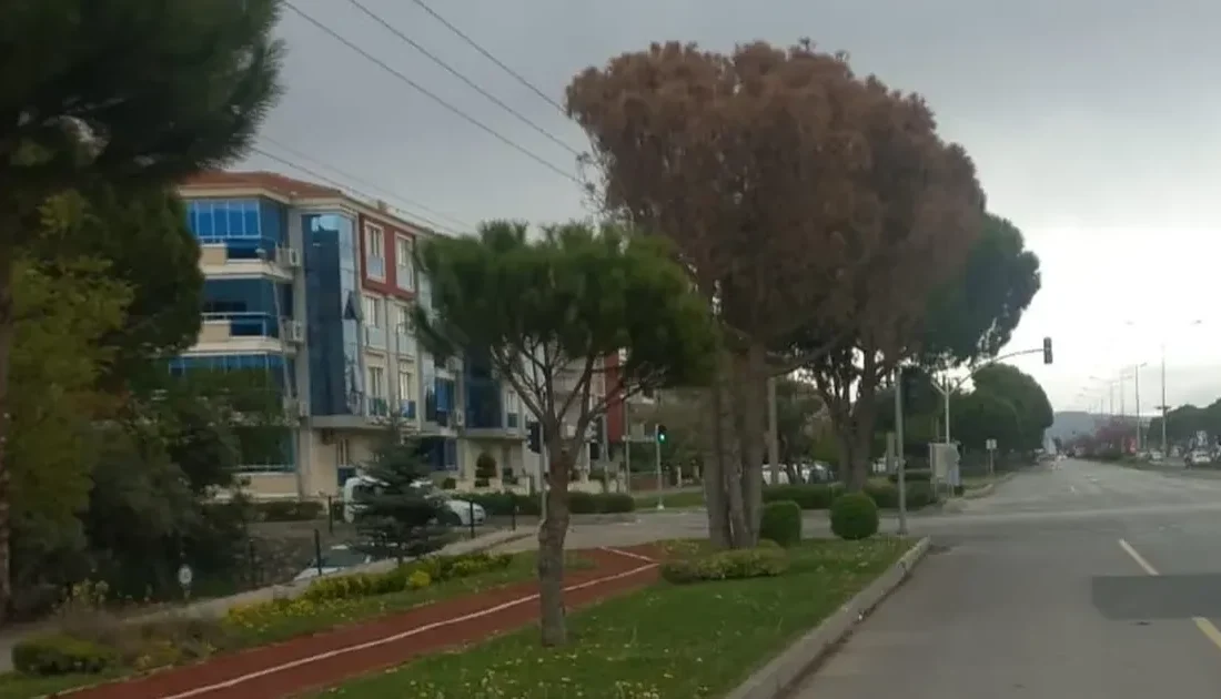 Muğla Büyükşehir Belediyesi, Menteşe’de