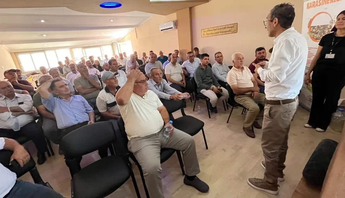 Muğla Büyükşehir Belediyesi, yaz