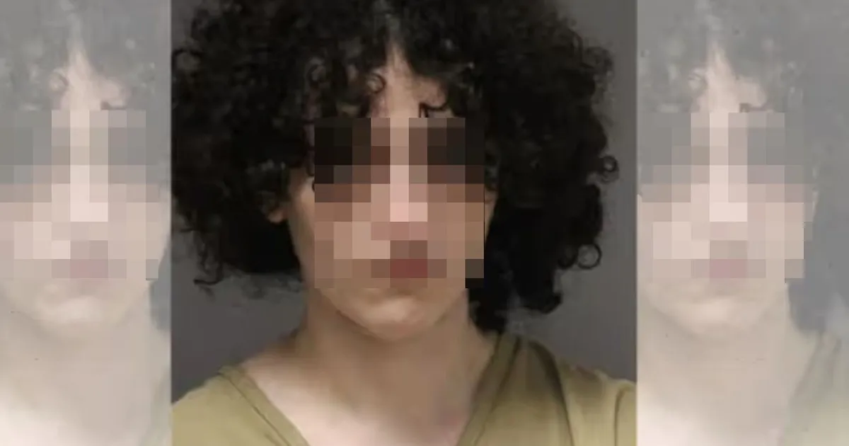 New Jersey’de Türk sürücünün 2 yayaya çarpıp kaçtığı iddia edildi