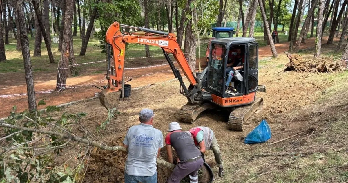 Ordu Ünye Çamlık’ta doğa yenileniyor