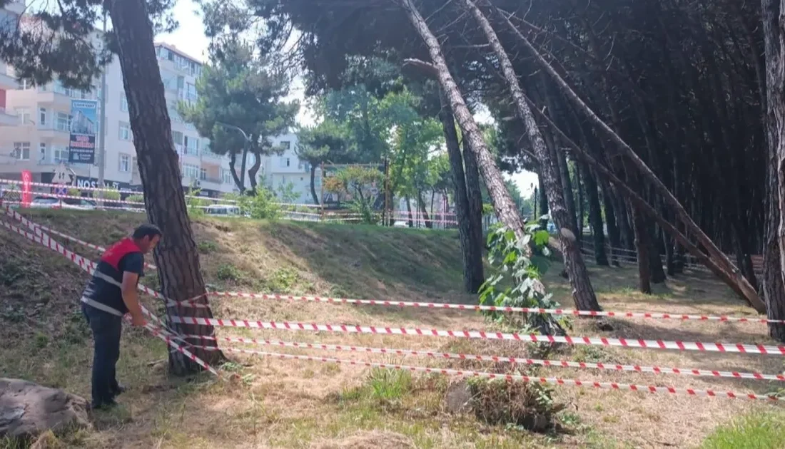 Ordu Büyükşehir Belediyesi ekipleri,