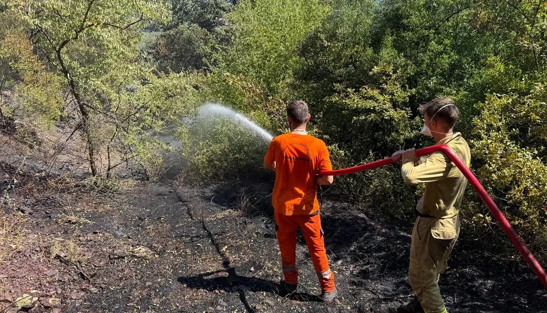 Sakarya Büyükşehir Belediyesi İtfaiye