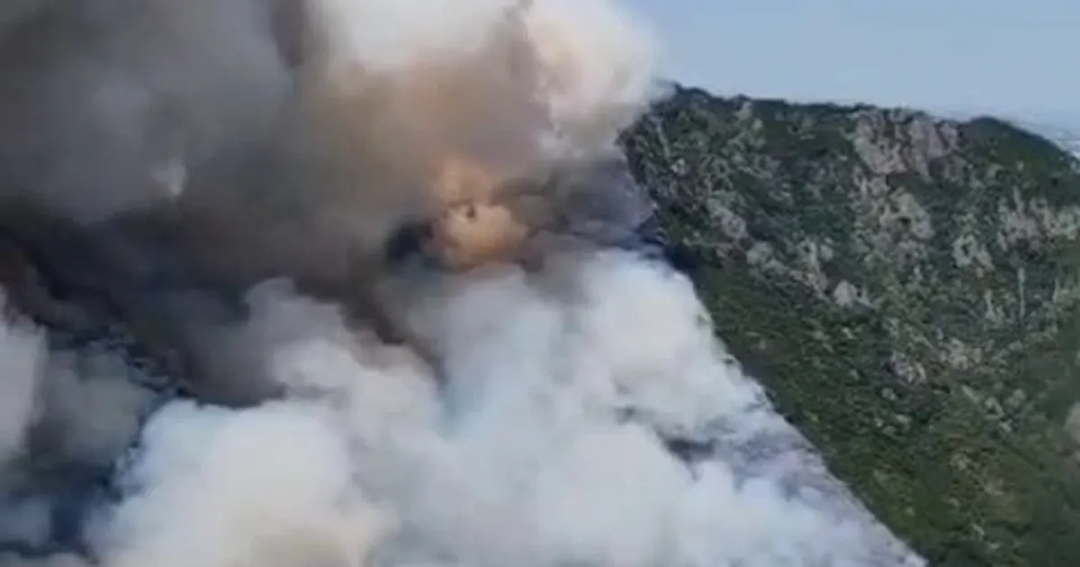 Sakarya Geyve’de orman yangınına yoğun müdahale