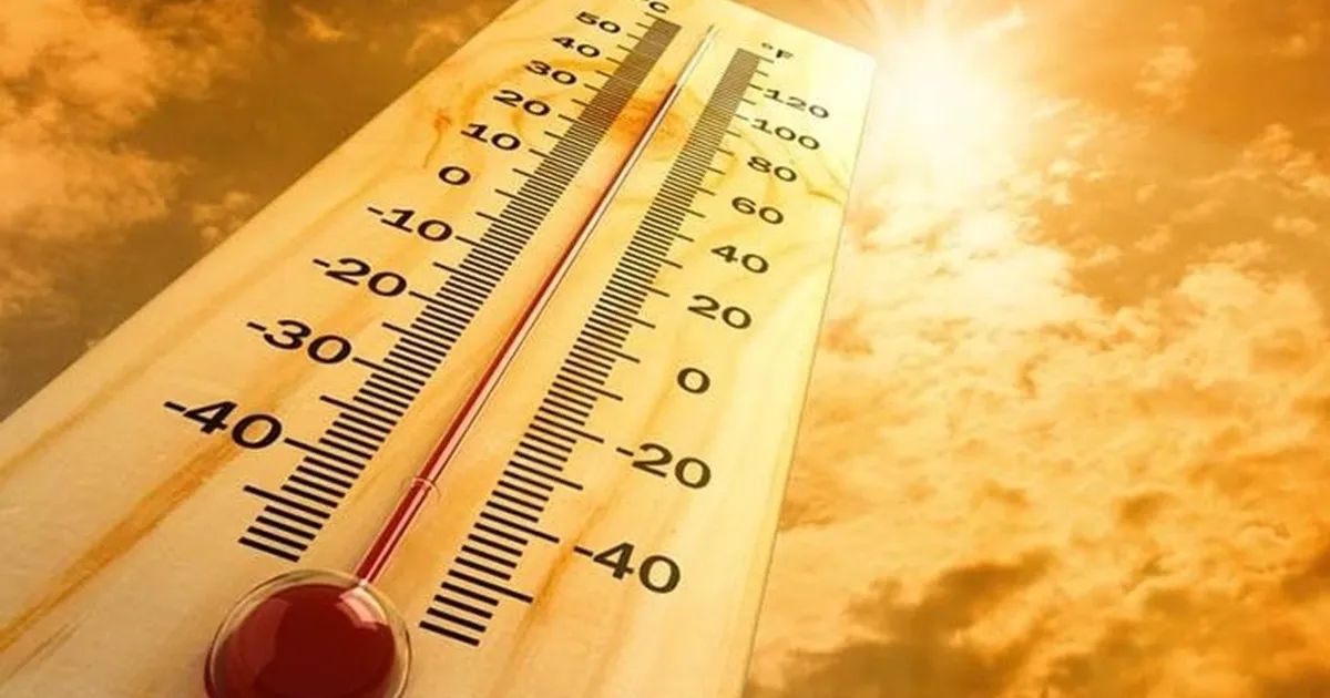 Sakarya kavruluyor! Zorunlu olmadıkça dışarı çıkmayın