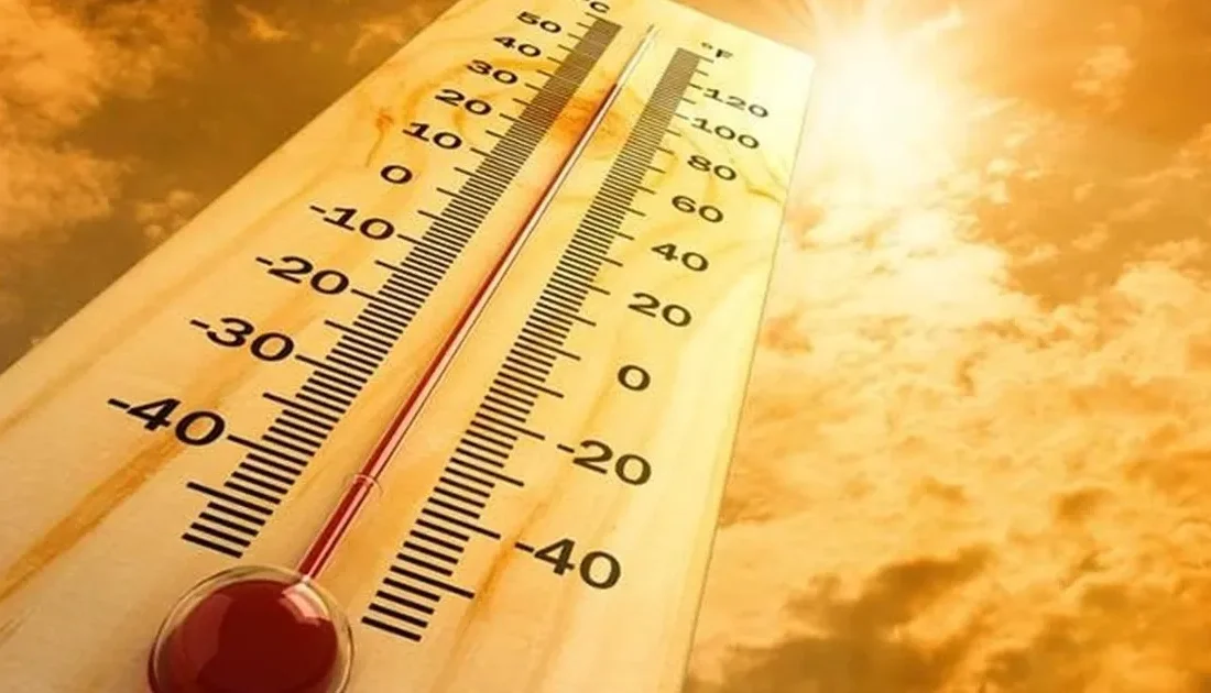 Sakarya Büyükşehir Belediyesi, 9