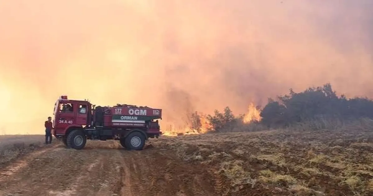 Son 1 haftada 624 orman yangını