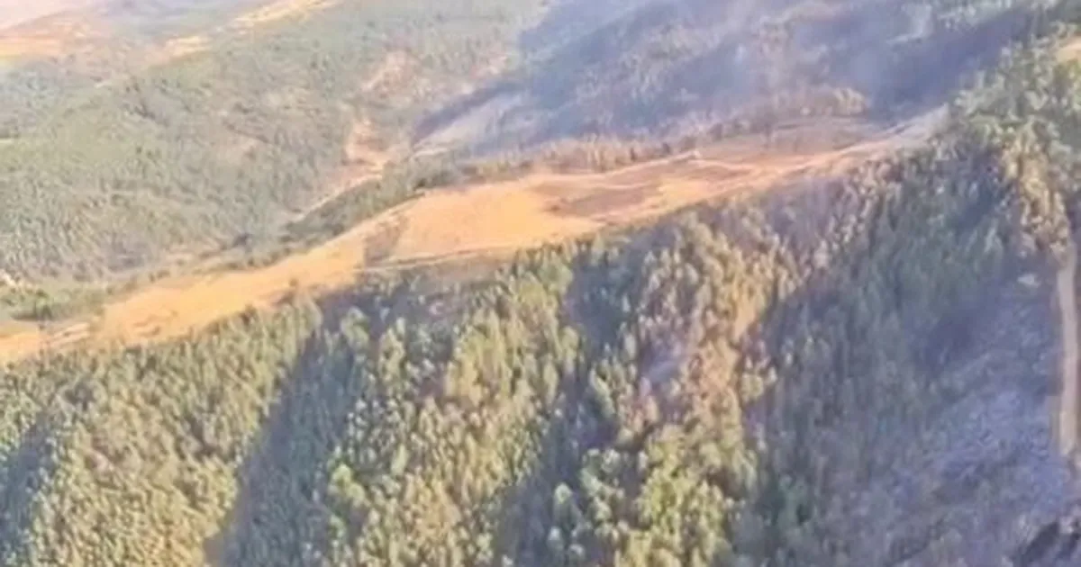 Uşak ve Bilecik’te yangınlar kontrol altında... Sakarya Geyve’de mücadele sürüyor