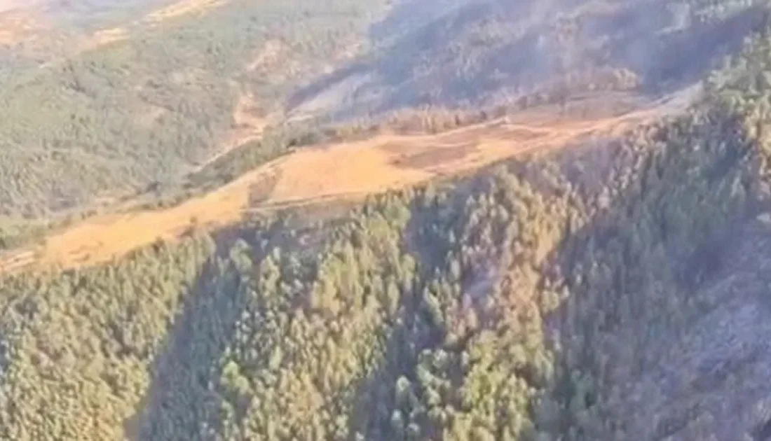 Orman Genel Müdürlüğü, Uşak