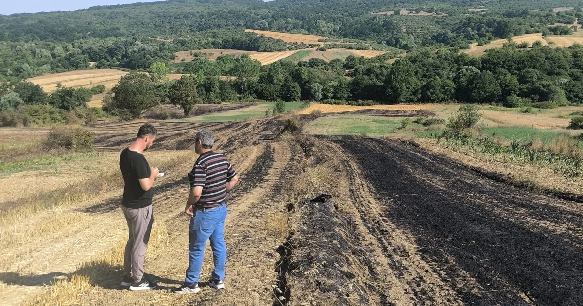 Yangında zarar gören çiftçilere Kocaeli'de tohum desteği