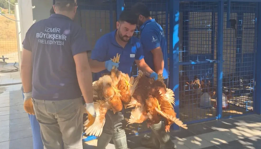 İzmir’de günlerdir süren orman