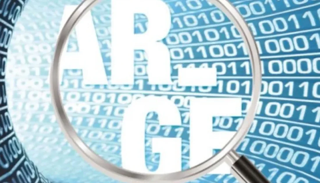 TÜİK verilerine göre, 2024’te