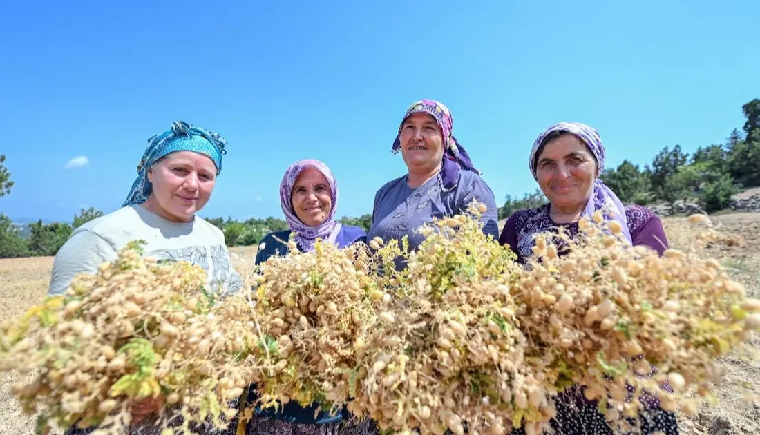 Mersin Büyükşehir Belediyesi Tarımsal