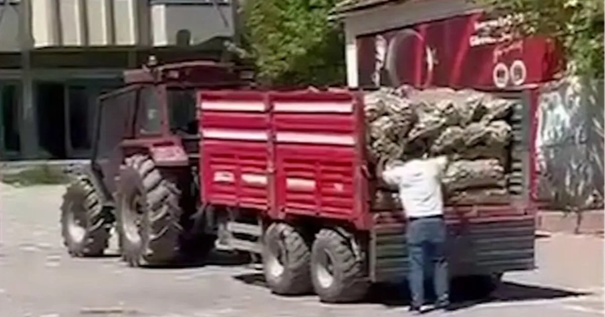 Bakan Yardımcısı Gürcan'dan Yozgat’taki patates israfına sert tepki!
