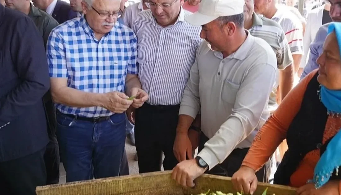 Ayvalık Belediye Başkanı Mesut
