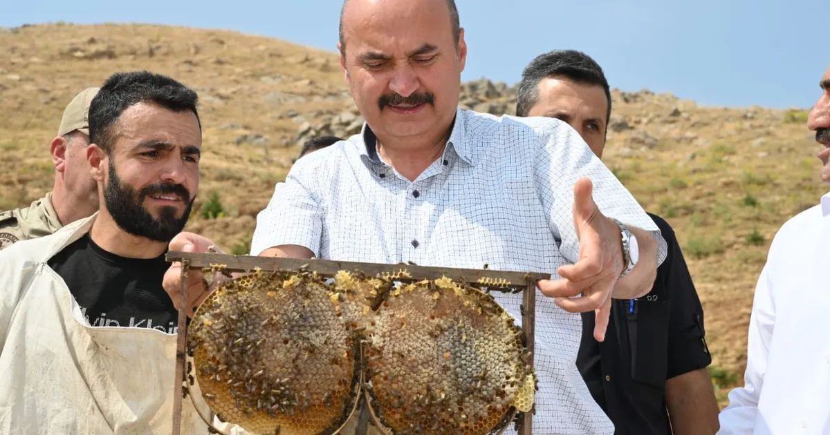 Batman Sason’da bal hasadı coşkusu