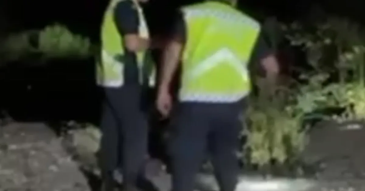 Bolu Dağı’nda park halindeki kamyonet uçuruma yuvarlandı: 1 yaralı