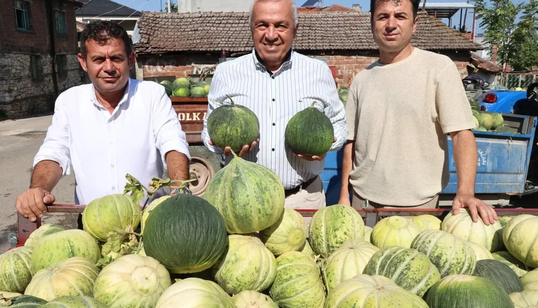 Bursa'nın Nilüfer ilçesi Konaklı