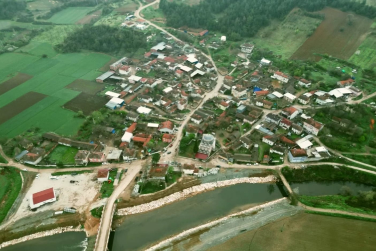 Bursa Yenişehir'de orman yangını son anda önledi