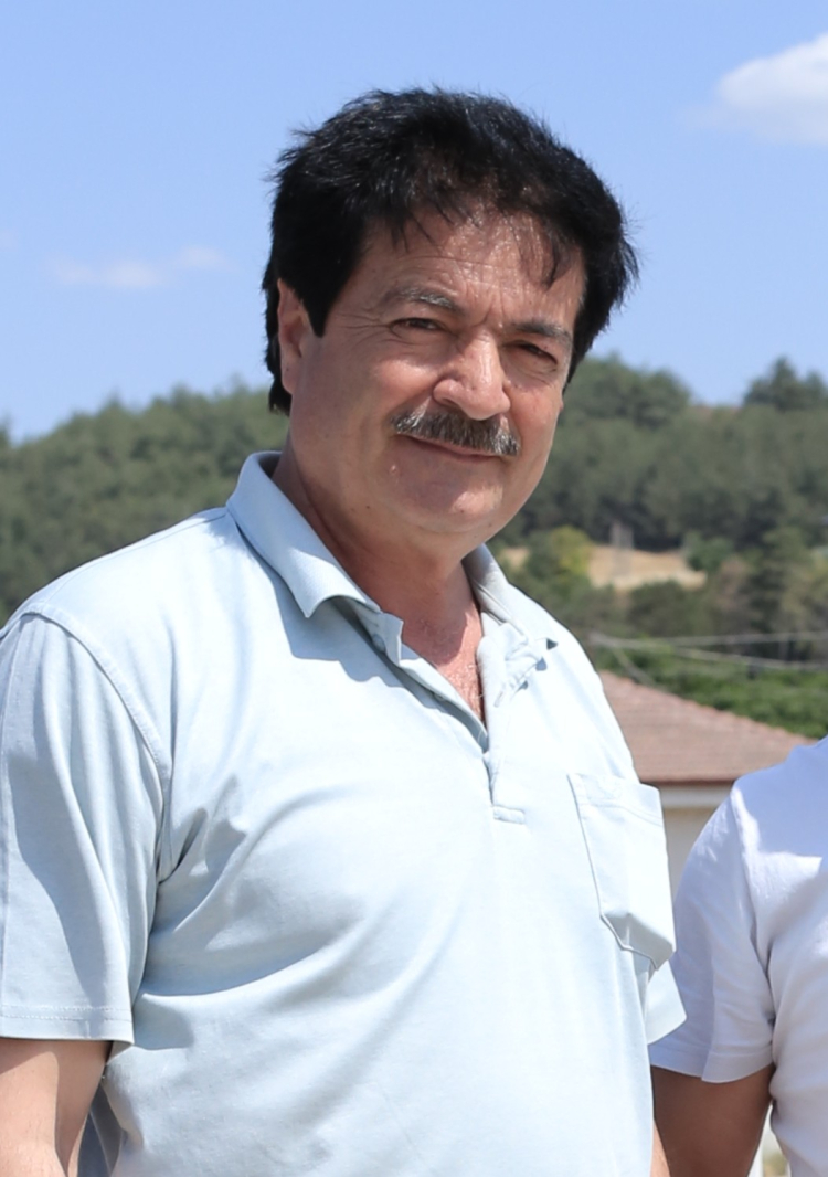 Bursa Yenişehir'de orman yangını son anda önledi