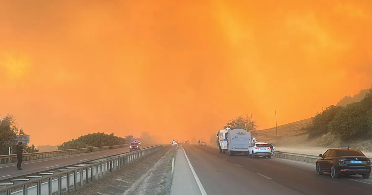 Bursa Yenişehir'de orman yangınına yoğun müdahale