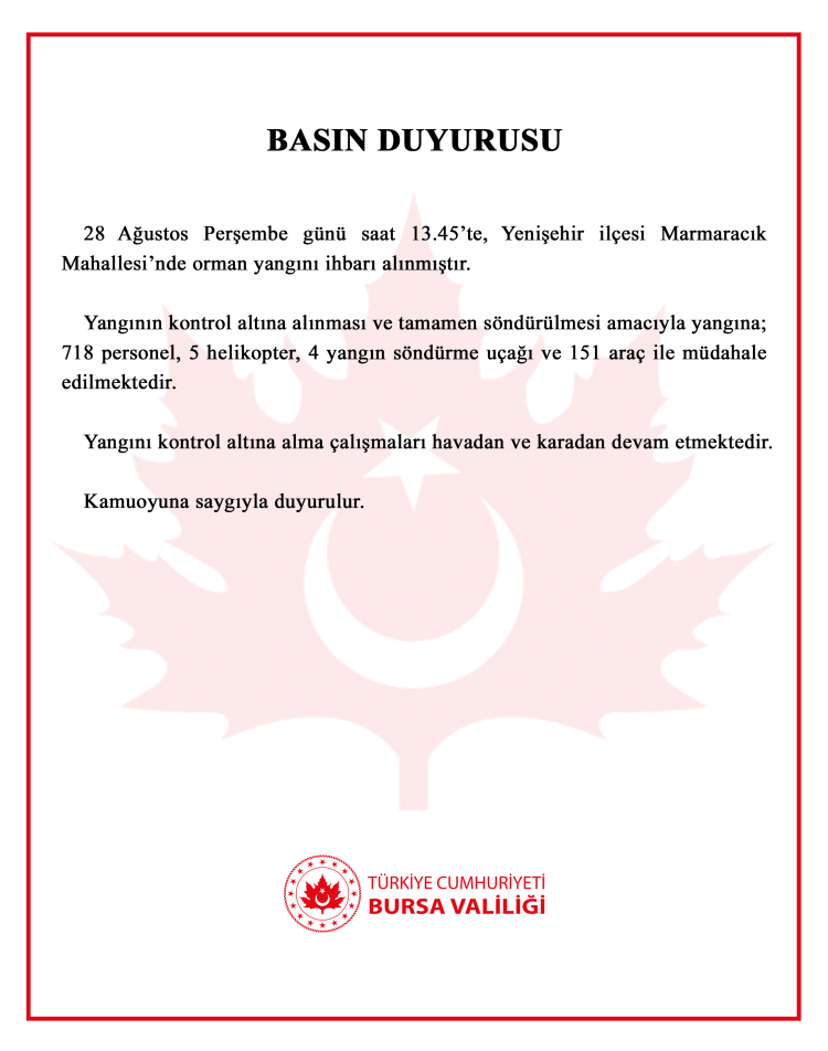 Bursa Yenişehir'de orman yangınına yoğun müdahale