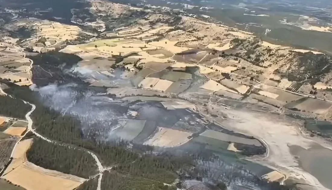 Bursa Valiliği, Yenişehir ilçesi