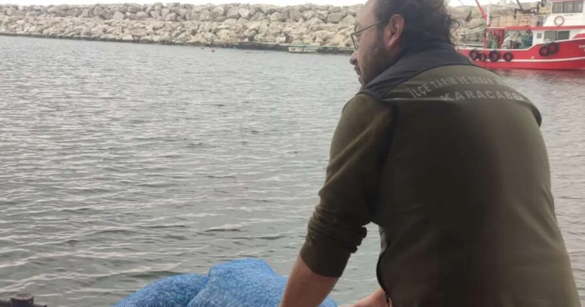 Bursa’da avcılığa açık kum şırlanı ve kara midye alanları belirlendi