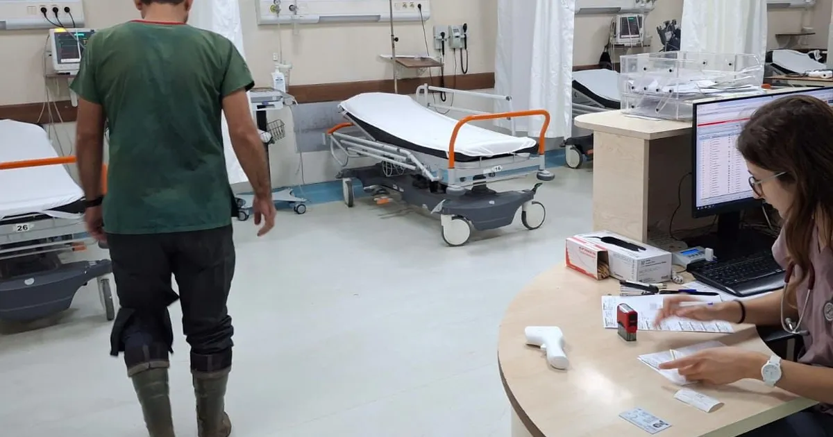 Bursa'da veteriner hekim sokak köpeği tarafından ısırıldı!