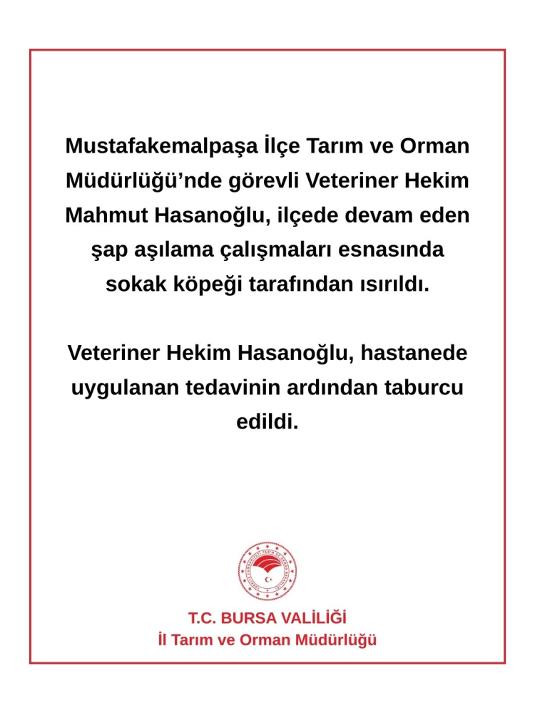 Bursa'da veteriner hekim sokak köpeği tarafından ısırıldı!