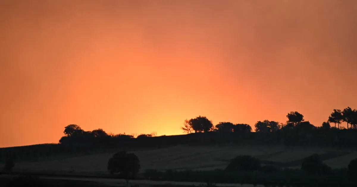 Çanakkale Dardanos yangını büyük ölçüde kontrol altına alındı