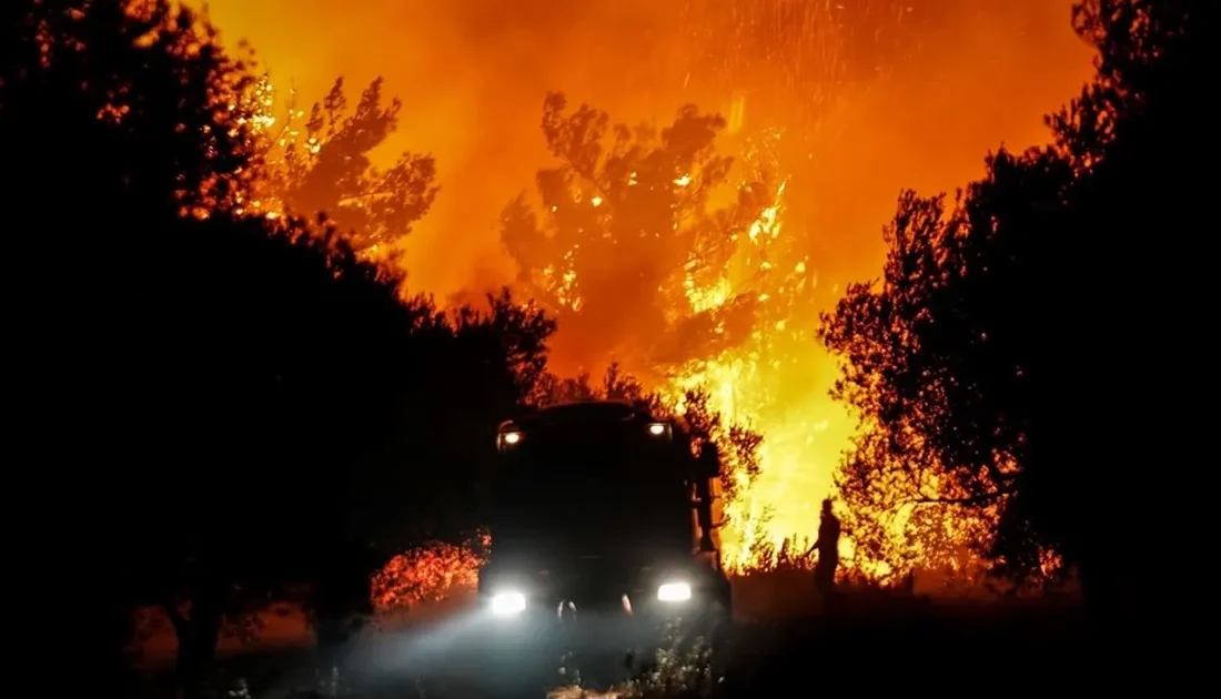 Çanakkale'de iki ayrı orman