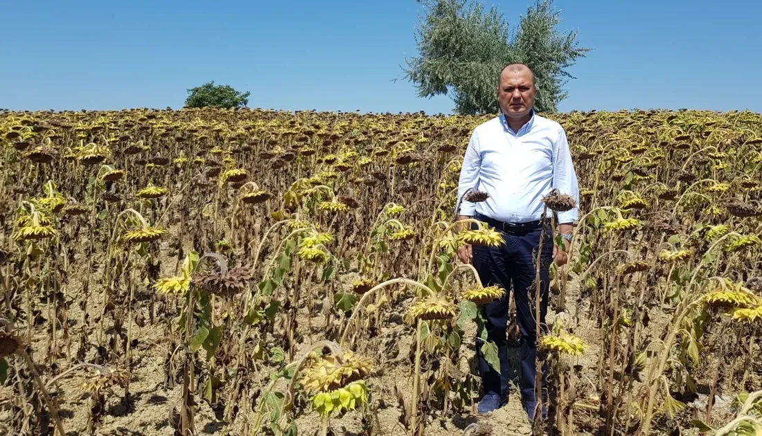 CHP Tekirdağ Milletvekili Dr.